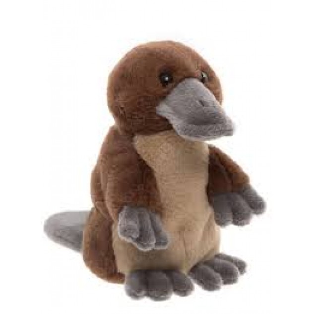 Cuddle Club Duck Billed Platypus